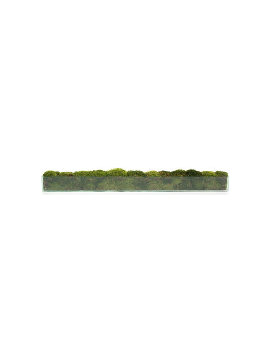 John Richard Moss Mound Large- Green