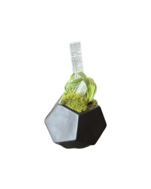 Black Honeycomb Container Floral