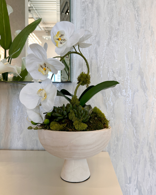 Orchid floral in cream pedestal bowl