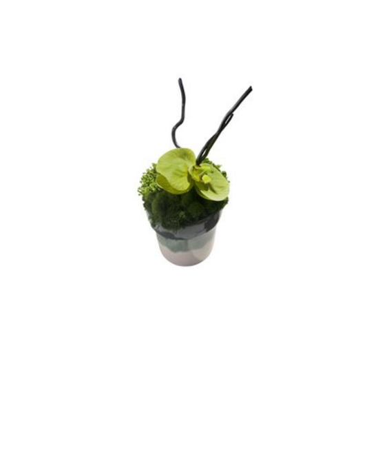 Custom Floral in Green Ceramic Container